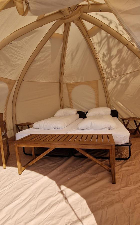 Haukafell Camping - Tents For Rents Hofn Ngoại thất bức ảnh